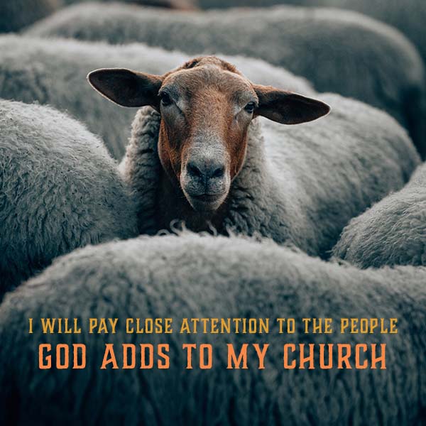 On Mission To The World